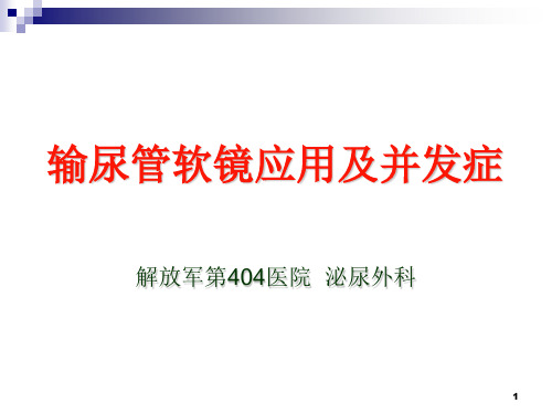 输尿管软镜应用及并发症PPT课件