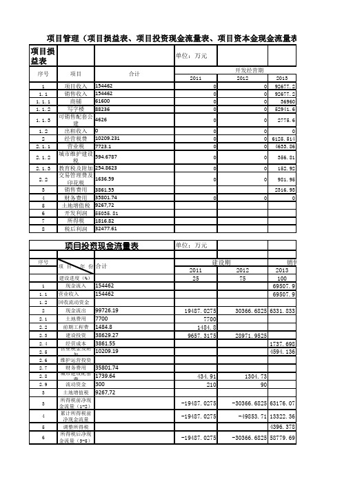 项目管理(项目损益表、项目投资现金流量表、项目资本金现金流量表).xls