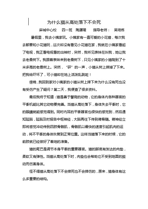 为什么猫从高处落下不会死