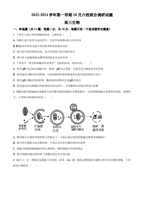 江苏省南京市六校联合体2023-2024学年高三10月联合调研生物试题及答案