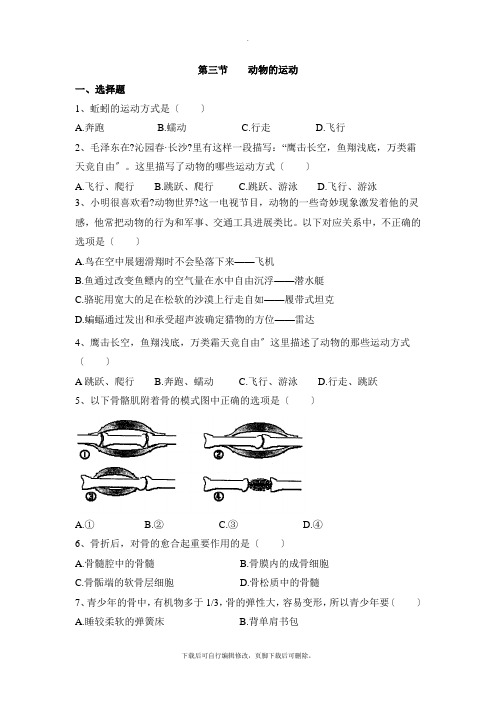 济南版生物七年级上册 2.2.3《动物的运动》同步练习