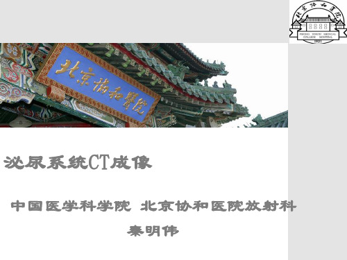 泌尿系统CT成像