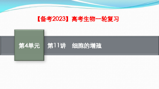 【备考2023】高考生物一轮复习：第11讲 细胞的增殖(共63张PPT)