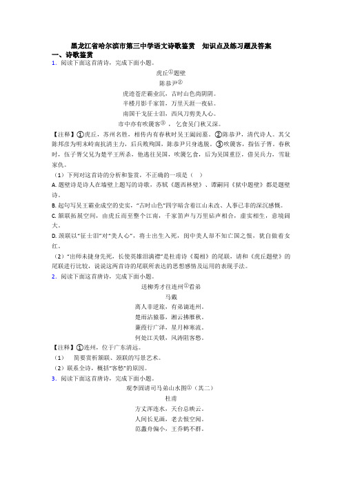 黑龙江省哈尔滨市第三中学语文诗歌鉴赏  知识点及练习题及答案