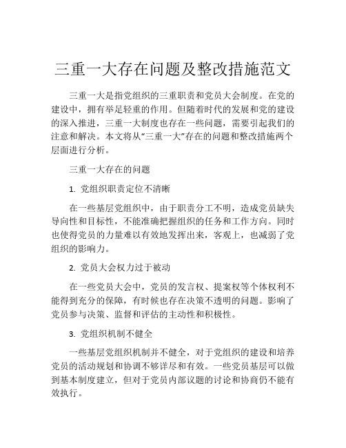 三重一大存在问题及整改措施范文