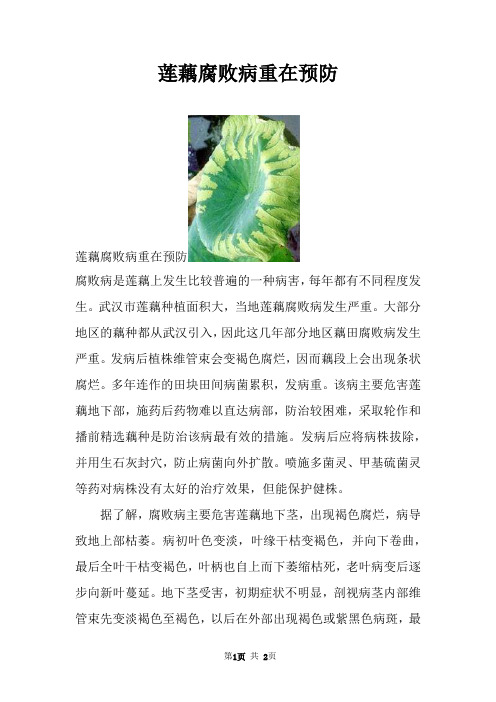 莲藕腐败病重在预防