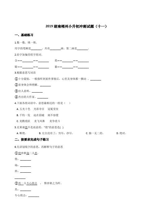 六年级下册语文试题--2019湖南郴州小升初冲刺试题(十一) 湘教版 (含答案)