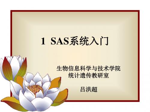 SAS系统入门