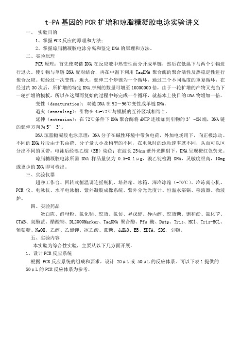 PCR扩增和琼脂糖凝胶电泳讲义(工艺实验)