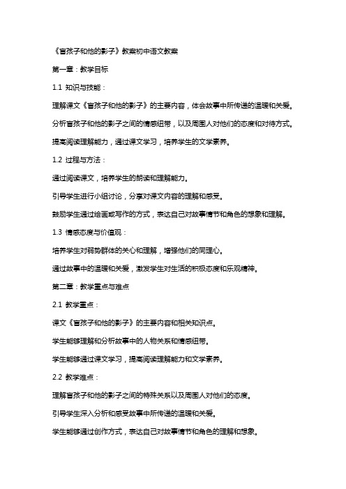 《盲孩子和他的影子》教案初中语文教案