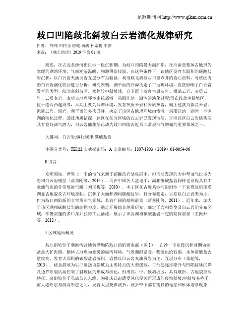 歧口凹陷歧北斜坡白云岩演化规律研究