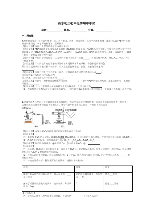 山东初三初中化学期中考试带答案解析
