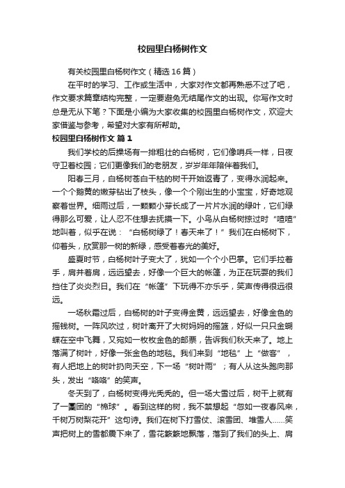 有关校园里白杨树作文(精选16篇)