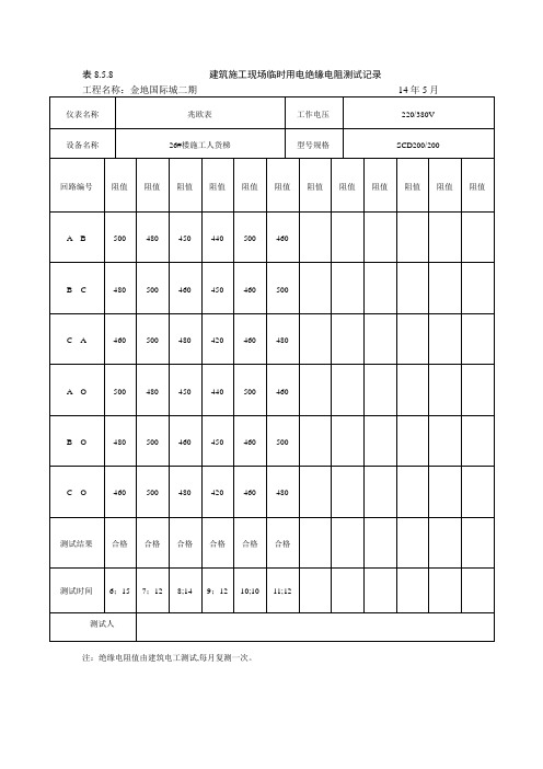 施工现场临时用电绝缘电阻测试记录【范本模板】