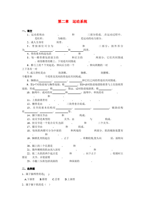 02运动系统