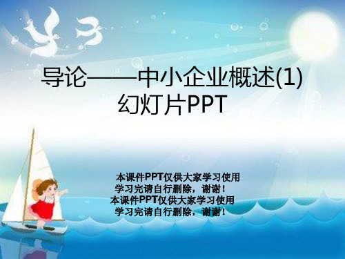 导论——中小企业概述(1)幻灯片PPT