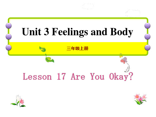 冀教版三年级英语上册 (Are You Okay)Feelings and Body 新课件