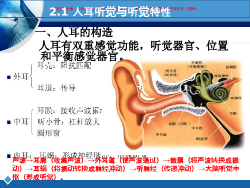 人耳听觉特性..课件