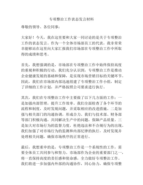 专项整治工作表态发言材料