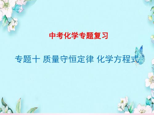 初中化学专题复习十 质量守恒定律 化学方程式
