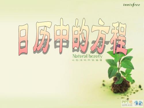 日历中的方程