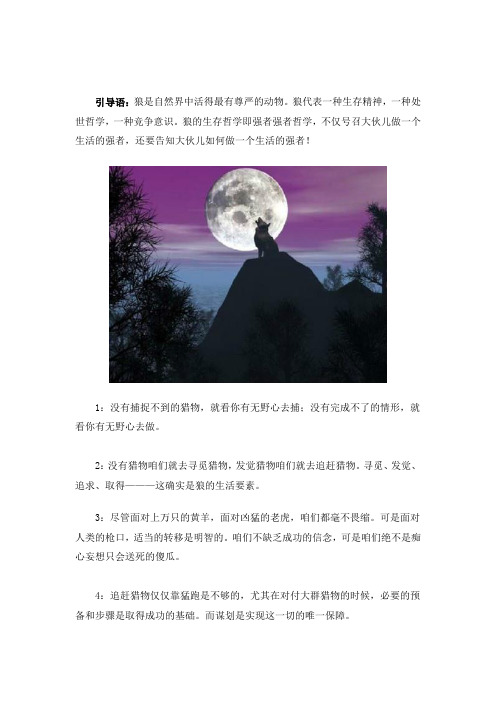 狼是自然界中活得最有尊严的动物