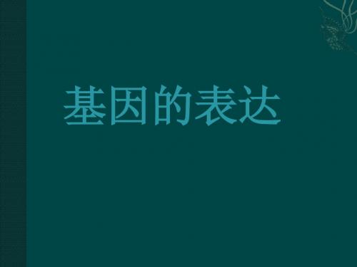 必修2：基因的表达(中图版)