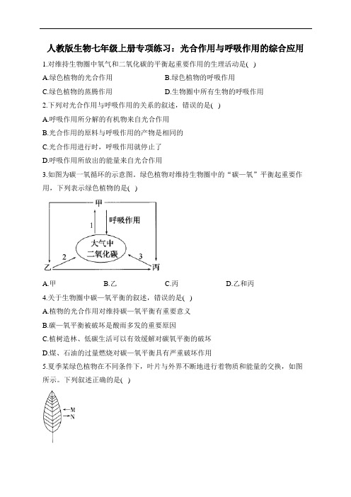 人教版生物七年级上册专项练习：光合作用与呼吸作用的综合应用