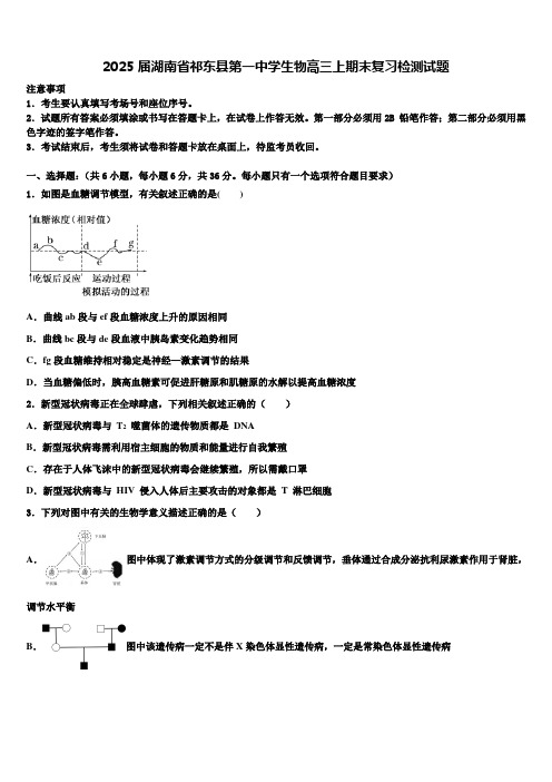 2025届湖南省祁东县第一中学生物高三上期末复习检测试题含解析