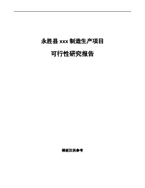 永胜县项目可行性研究报告通用模板