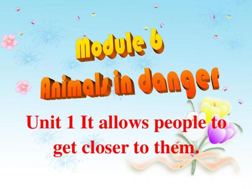 研版八年级英语 上册课件module6 unit1 It allows people to get closer to them (共31张PPT)