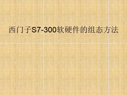 西门子S7-300软硬件的组态方法(ppt文档)