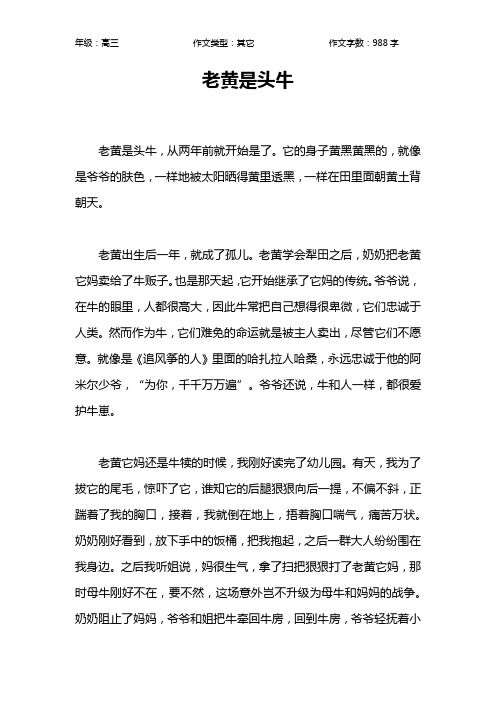 老黄是头牛作文【高中高三1000字】