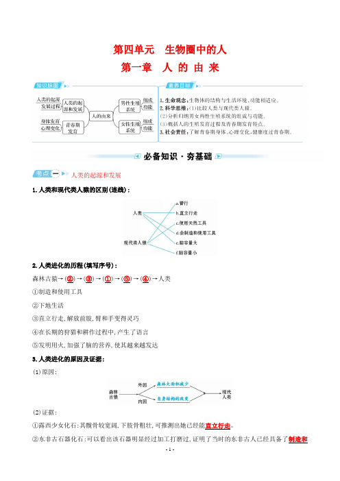 最新中考生物同步考点培优训练——第四单元 第一章 人 的 由 来