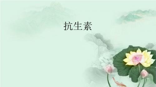抗生素+Microsoft PowerPoint 2007 幻灯片