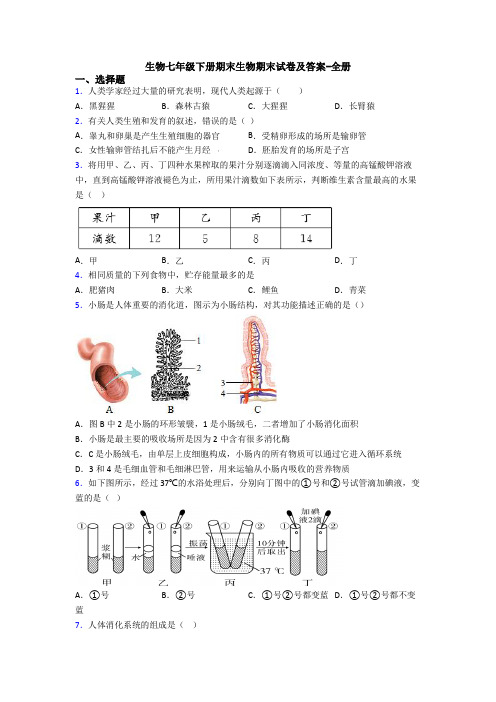 生物七年级下册期末生物期末试卷及答案-全册