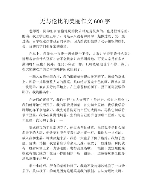 无与伦比的美丽作文600字