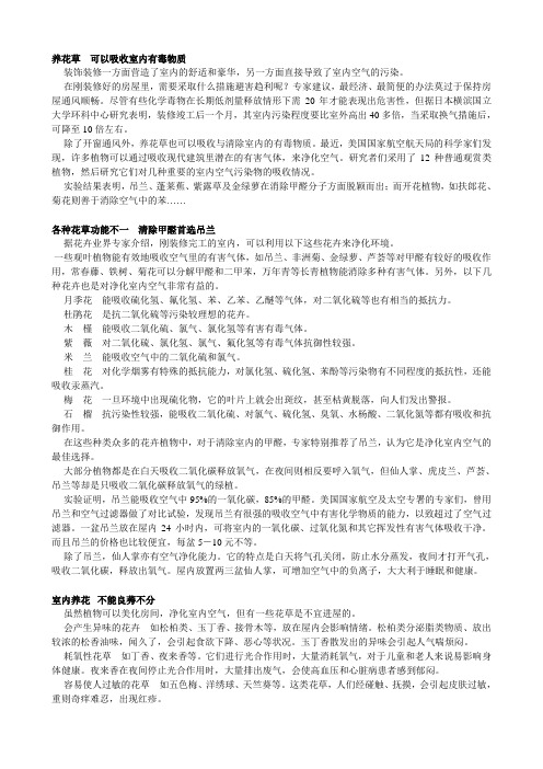 养花草可以吸收室内有毒物质