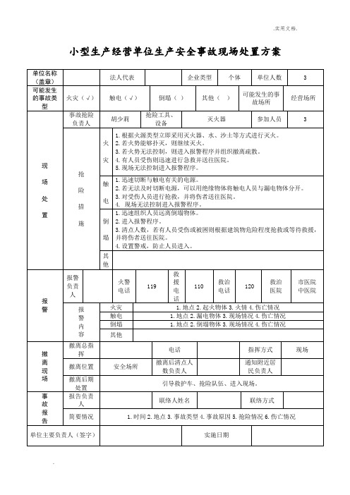 小型生产经营单位生产安全事故现场处置方案