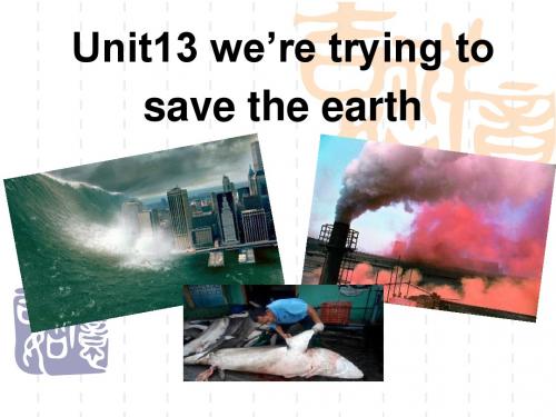 九年级下学期(初三下册)《We're trying to save the earth!》PPT课件3