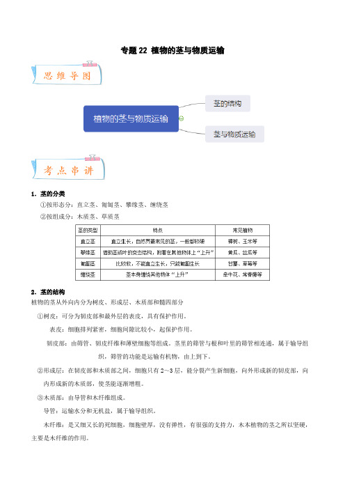 专题22 植物的茎与物质运输-八年级科学下册(解析版)