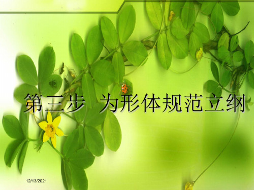 高考英语一轮复习 循序写作 第十三周 如何运用“七步作文法”课件
