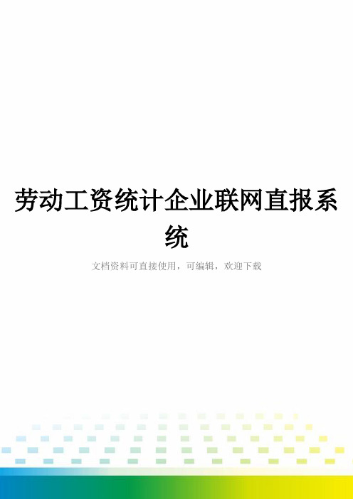 劳动工资统计企业联网直报系统全套