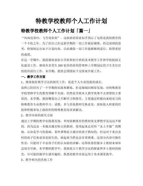 特教学校教师个人工作计划