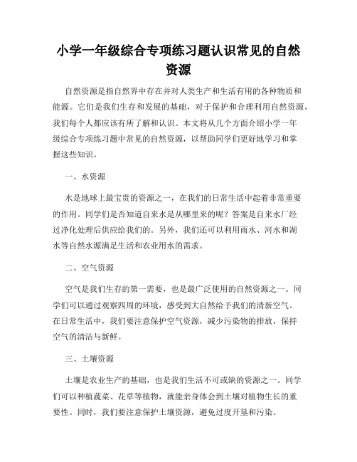 小学一年级综合专项练习题认识常见的自然资源