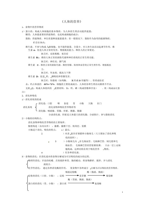 七年级生物下册《人体的营养与思维导图》新人教版