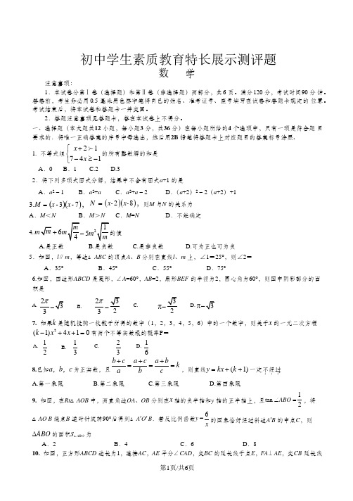 山东省临沭县青云镇中心中学九年级学生素质教育特长展示数学试题