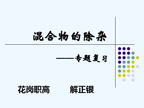 初中化学除杂讲课教案