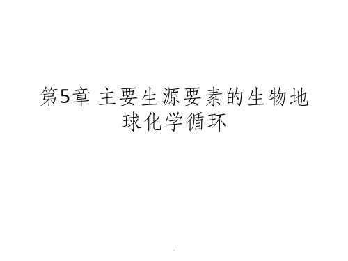 第5章 主要生源要素的生物地球化学循环ppt课件