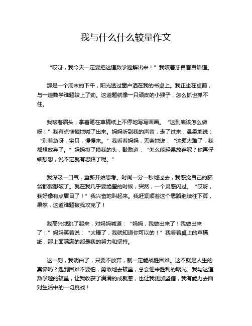 我与什么什么较量作文